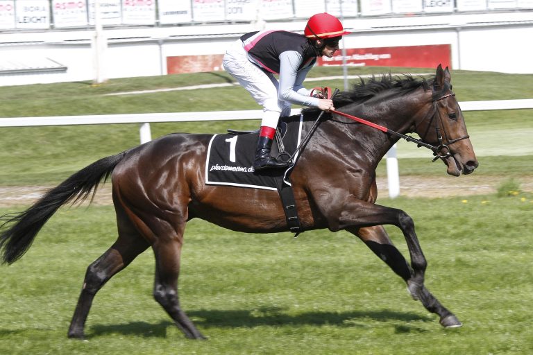 Secret Potion (Archiv)