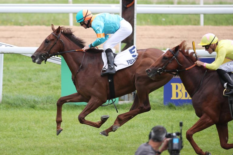 See Hector wird Zweiter zu Arnis Master