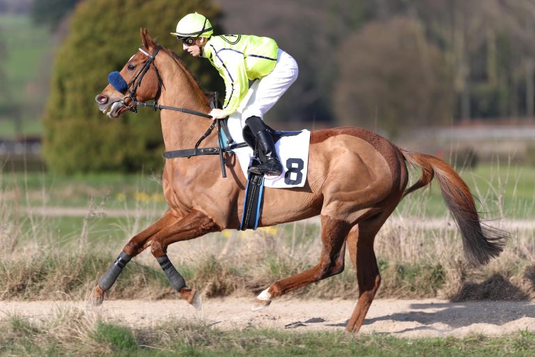 Seismos-Schwester bringt 700.000 Guineas