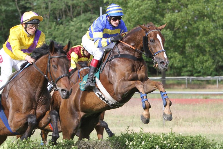 Sekundant gewinnt Jagdrennen Start-Ziel