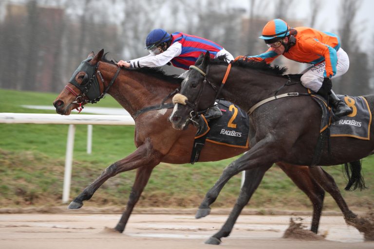 Seqania wechselt nach Sieg in die Zucht
