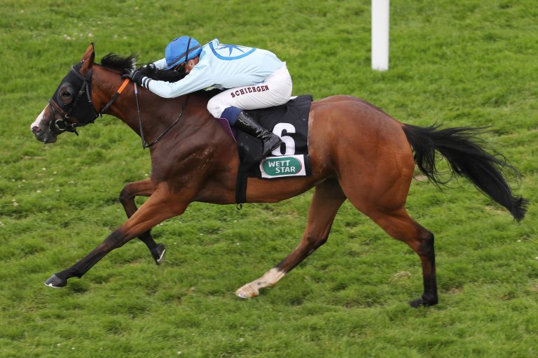 Wolkenbruch nach dem Tiger-Biss