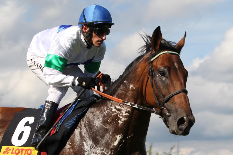 Rekord-Fohlen springt über 200.000 Euro-Marke