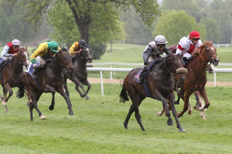 Viermal eine deutsche Dreierwette in Straßburg