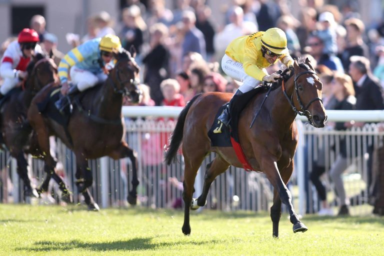 Shafran Mnm jetzt in Frankreich in Training