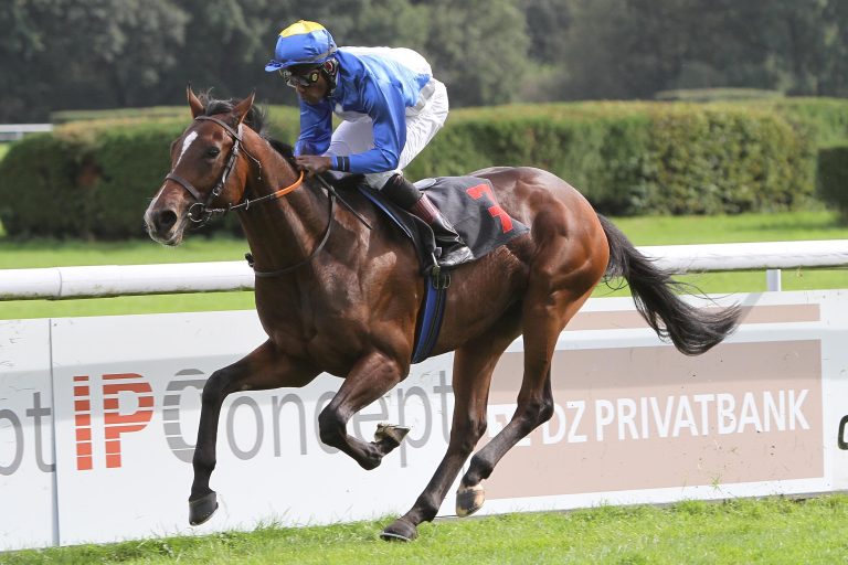 Neun Zweijährige im Preis des Winterfavoriten