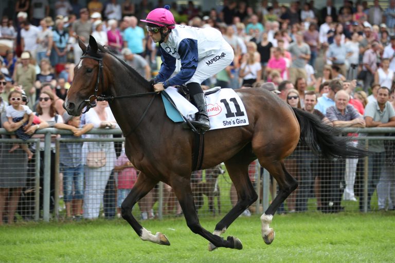 Gruppe-platzierte She’s Gina gewinnt über Hürden