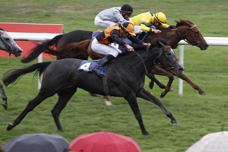 Shivajia-Sensation im T. von Zastrow Stutenpreis