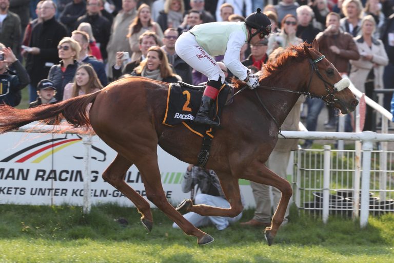 Stall Steintor ist auch nach 16 Jahren Pause dabei