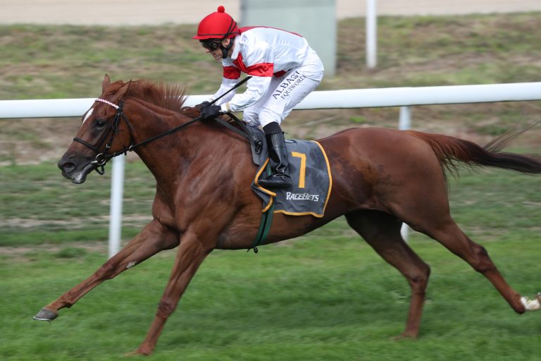 Starke marschiert – Showtime mit starker Hauptstadt-Show