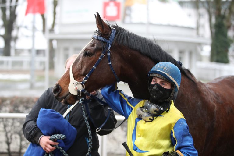 Shy Moon und Lucky Punch putzen Aljondra