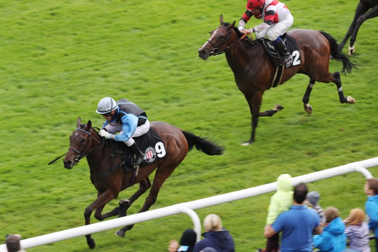 Shy Witch gewinnt Hamburger Stutenmeile