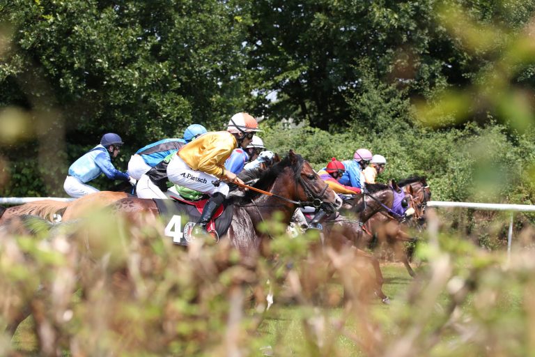 Rolf Siepmann mit Gentle Storm in Dieppe erfolgreich