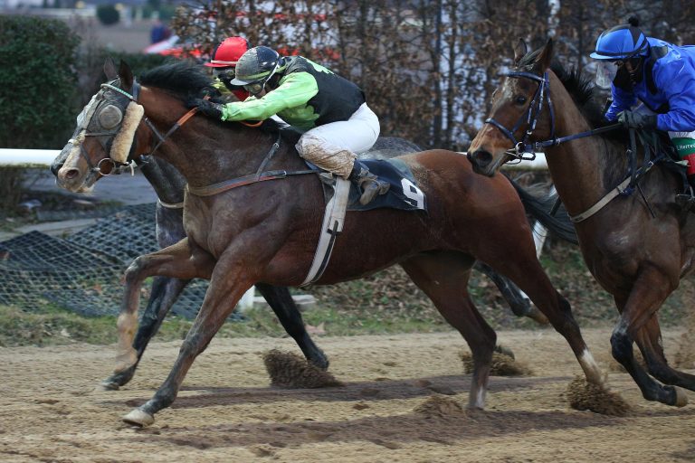 Atemberaubend! Silencio fliegt zum Sieg