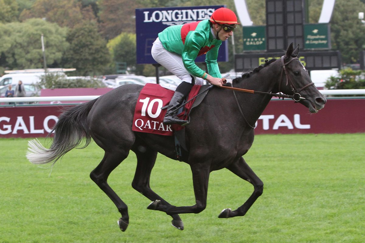 Stuten Machen Grand Prix De Deauville Unter Sich Aus - GaloppOnline.de