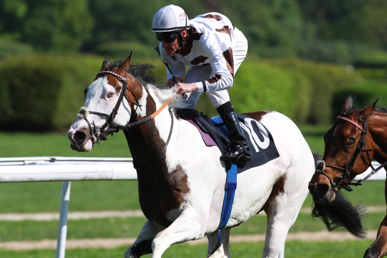 Er ist gekört: Auszeichnung für Silvery Moon