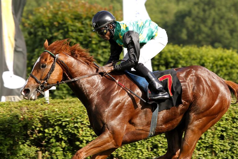Simba ist der Star beim Flughafen-Renntag