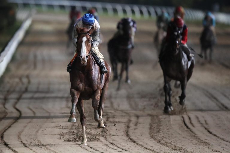 Cheshmeh Vierte – Simon de Vlieger wie eine Rakete