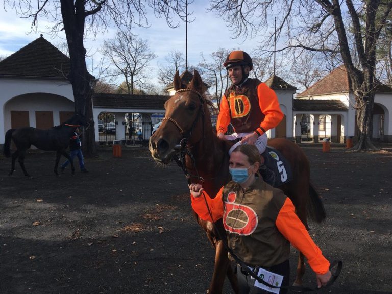 Sir Vulcano gewinnt Schweizer St. Leger