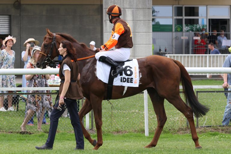 Skikjöring am Sonntag: Auch wieder ein Derbystarter dabei