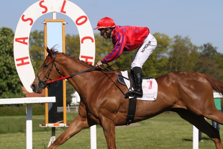 Smart Shuffle gewinnt die Hasslocher Meile