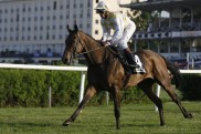 Gruppesieger Smooth Operator in Cagnes-sur-Mer dabei