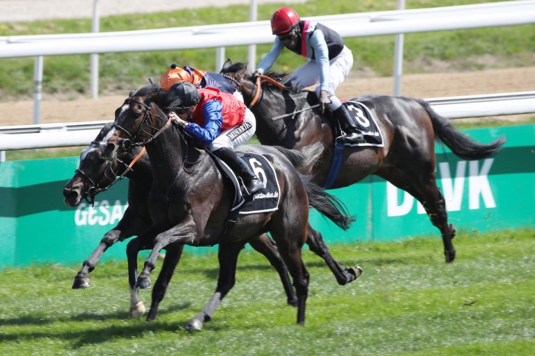 Dresdener Halali geht an So Chivalry