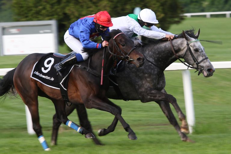 Steinbergs Soho gewinnt nach 1400 km Anreise