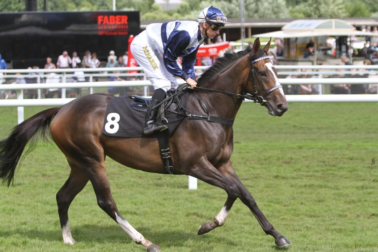 Zwölf „Ladies“ für den Herbst Stuten-Preis