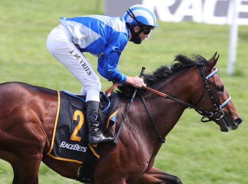 Soul Dancer im Ausgleich II - Hattrick für Starke
