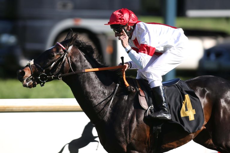 15 Nennungen für Oleander-Rennen aus Irland