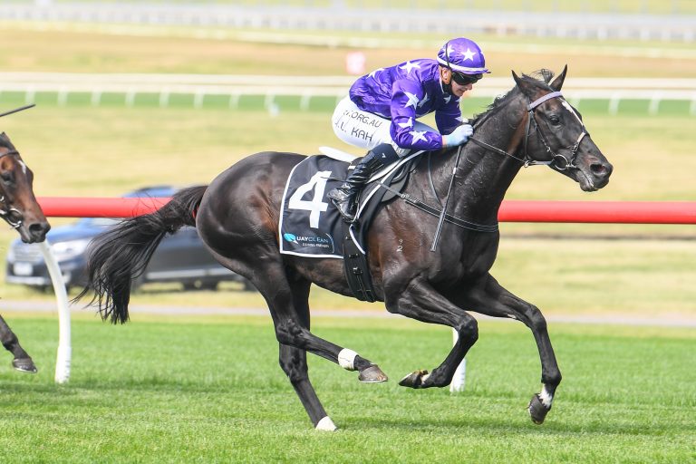 Sound am Boxing Day am Start