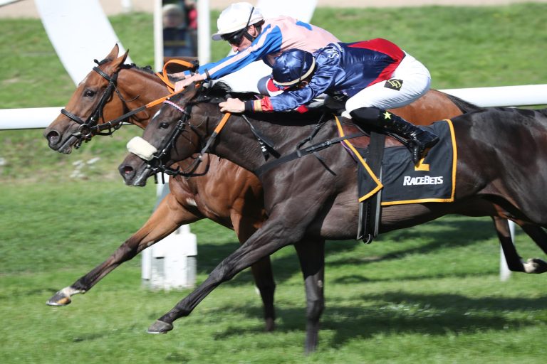 Sound Machine Neunte in den Al Rayyan Stakes