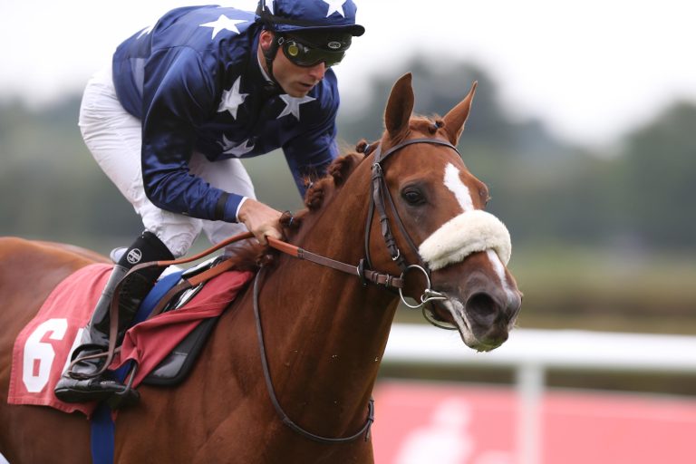 Boxen auf zum Mülheimer Saisonfinale