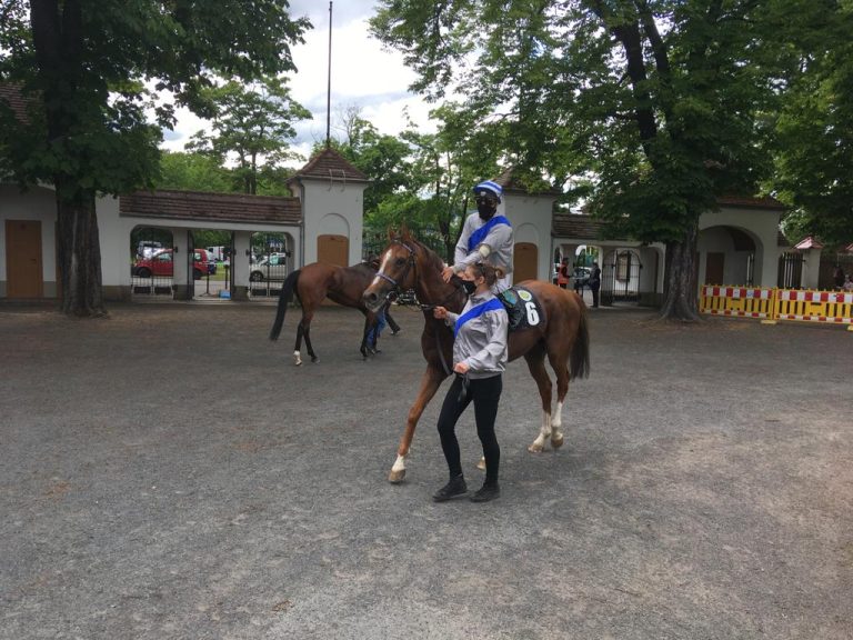 Starke und Sprengel auch in Baden ein Top-Team
