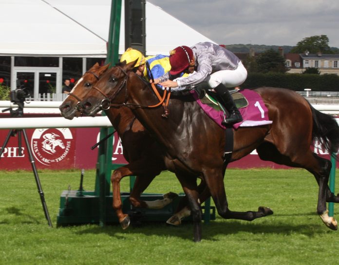 spw16chantillyarcwe_chaudenay_carvalhos_moonshiner_zum_auftakt_knapp_geschlagen_von_fabres_doha_dream_foto_hemke_mg_1202