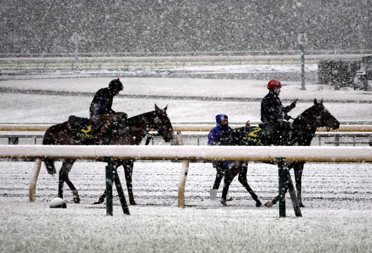 Morgenarbeit im Schnee in Tokio!