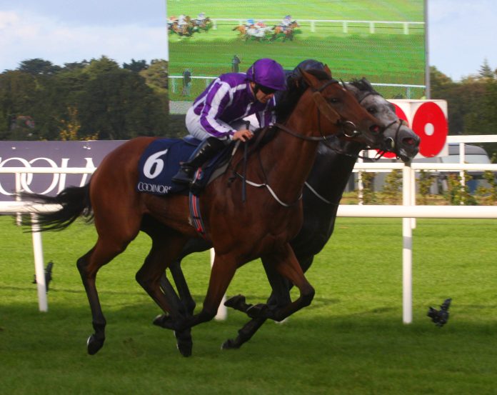 spw17dublin_hydrangea_vorne_unter_wayne_lordan_schlagt_die_vierfache_gruppe_i-siegerin_winter_unter_ryan_moore_foto_hemke_img_7075