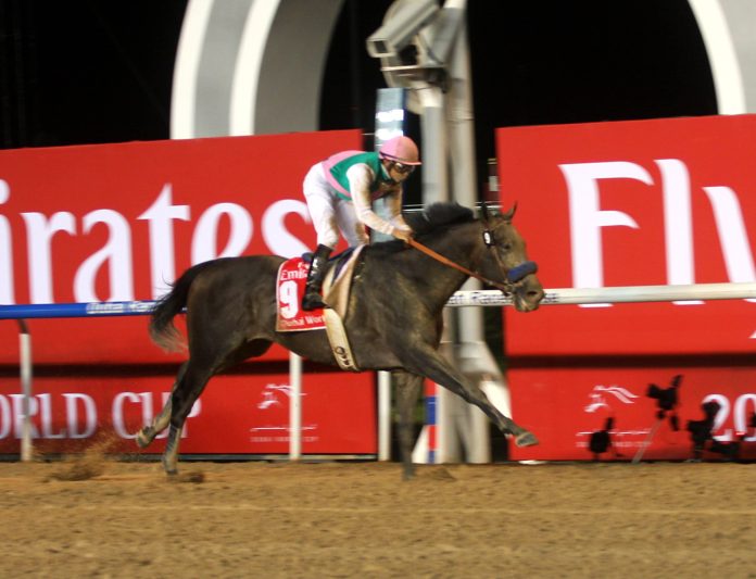 spw17meydanarrogate_siegt_im_dubai_world_cup_wie_er_will_foto_rolf_c_hemke_img_4515