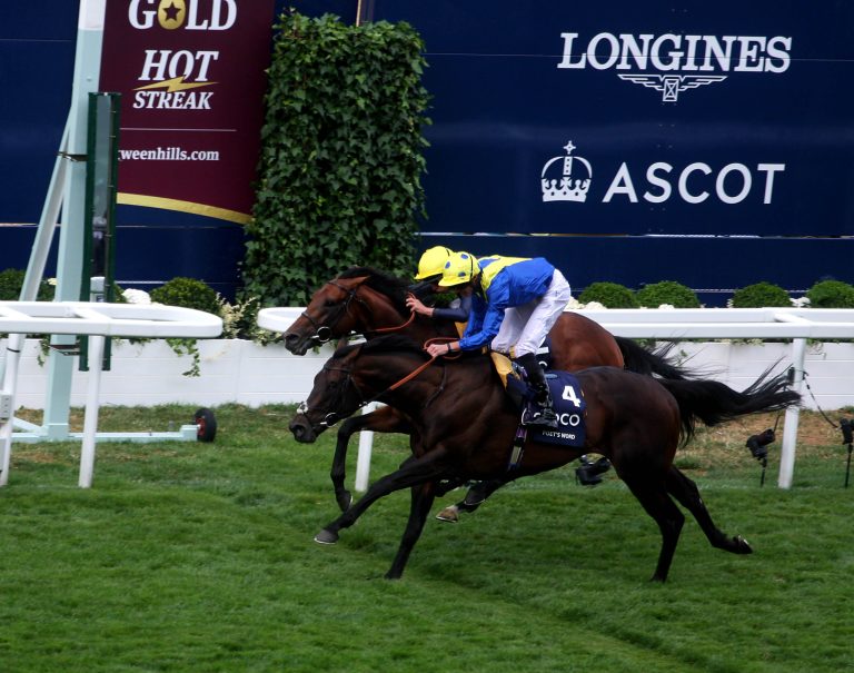 Karrierende für Poet’s Word