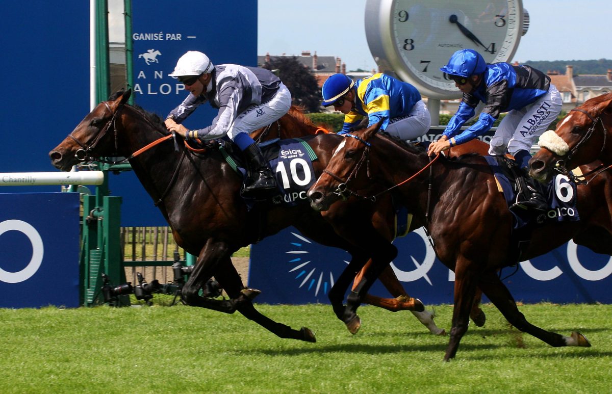 Study Of Mans erster Black TypeSieger Einer für den „Jockey Club