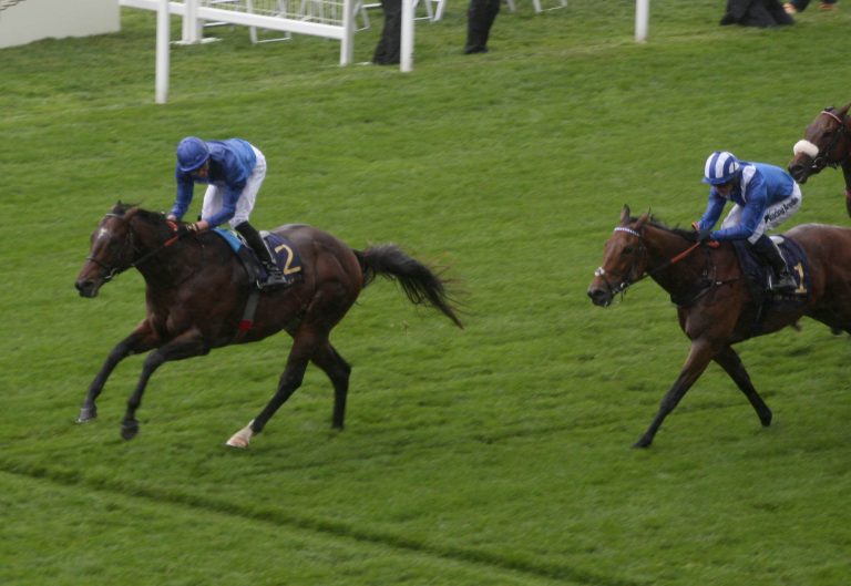 Blue Point deckt in Irland