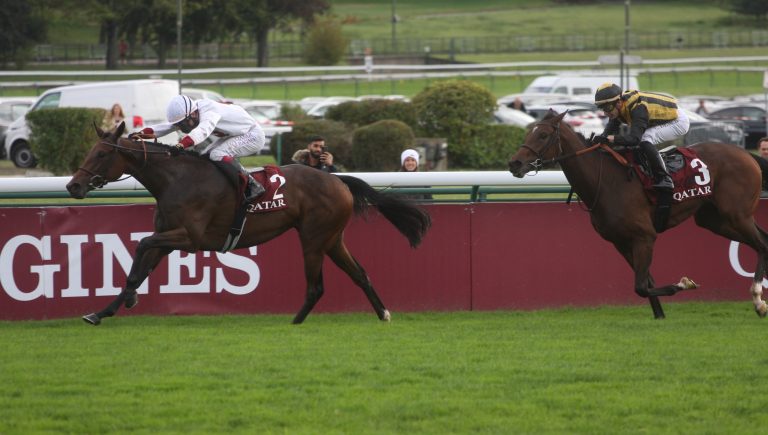 Brümmerhof sichert sich Zellie-Halbschwester