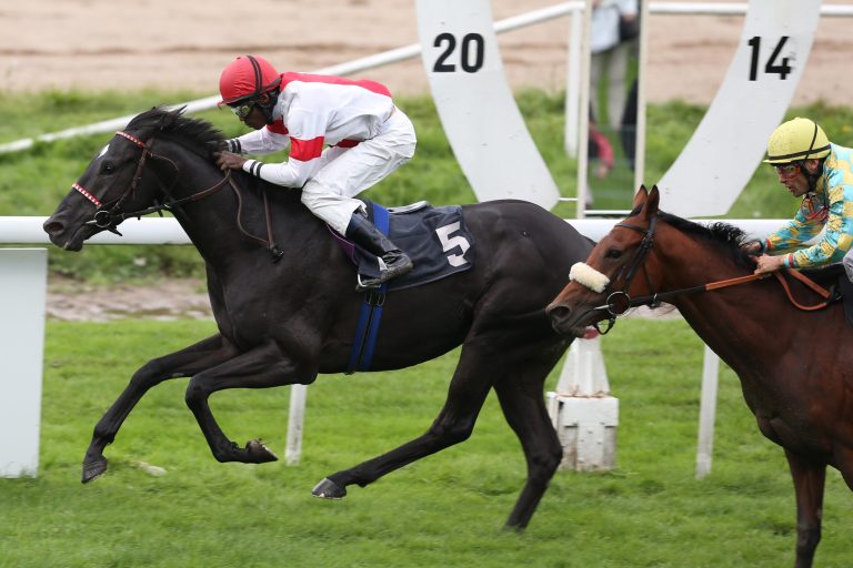 Scalo-Bruder Stanley für 110.000 Guineas verkauft