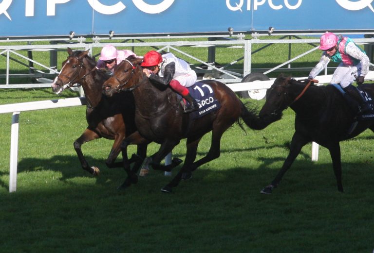 Wolverhampton am Samstagabend: Blaublütig gezogene Debütantin dabei