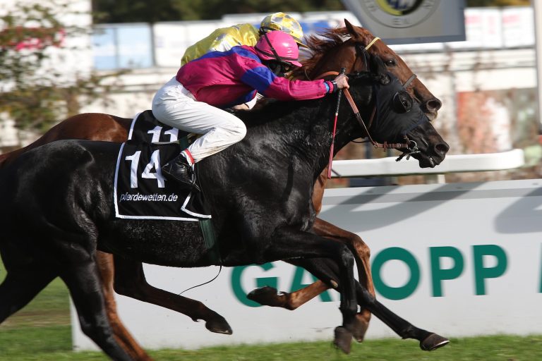 Star Gypsy dominiert in Bad Harzburg
