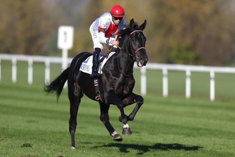 Derby-Kandidaten und Jagdrennen in Bremen