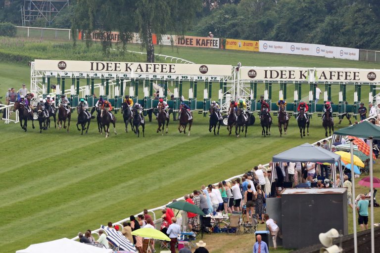 So viele wie selten, so offen wie selten