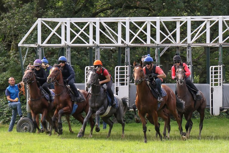 Boxen auf für neue Amateurreiter