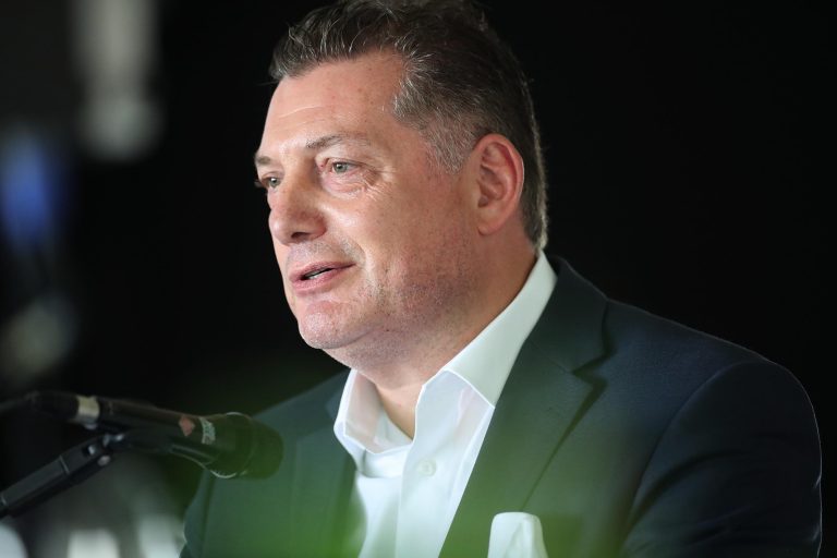 Hahnes Biscaya Bay mit Waldgeist-Fohlen